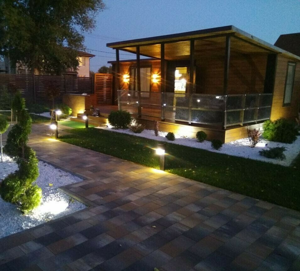 растения и свет вокруг дачного дома